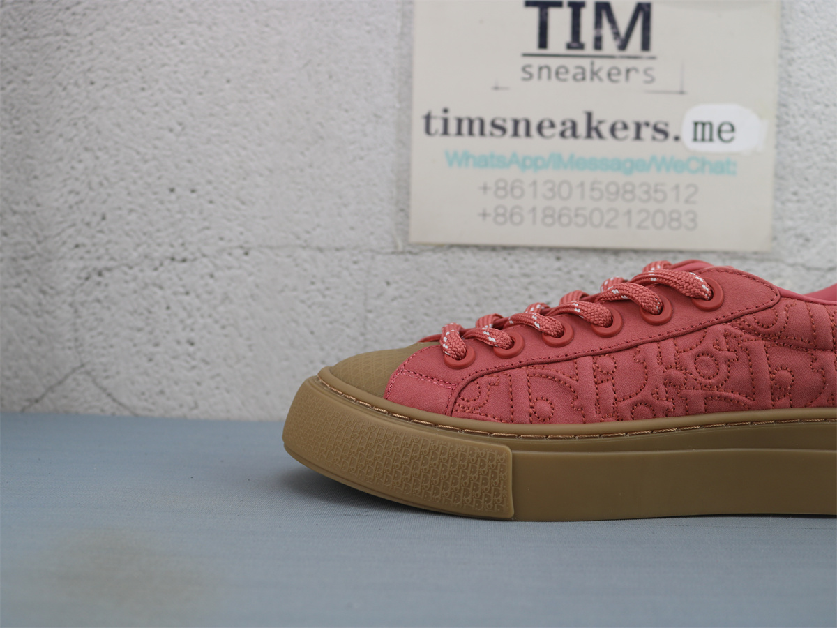 Stone Island x Dior B33 Skateboard Shoes Low-Top Red